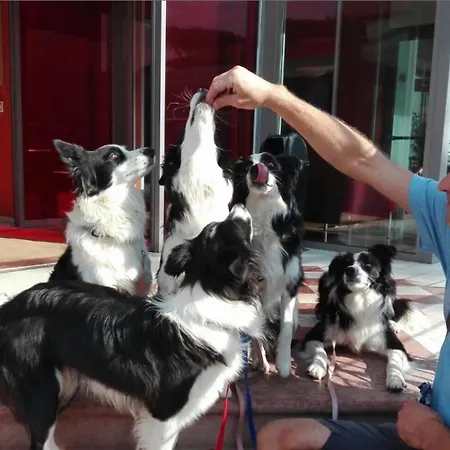 Adlon Lido di Jesolo