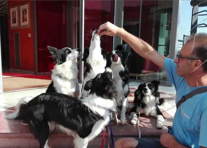 Adlon Lido di Jesolo